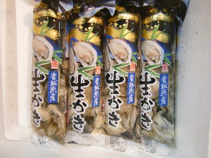 20091226 -���T�̔����ł�-_45