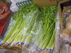 20100101 -�V���؂蔲��-_24