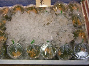 20100101 -�V���؂蔲��-_38