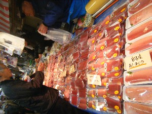 20100101 -�V���؂蔲��-_44