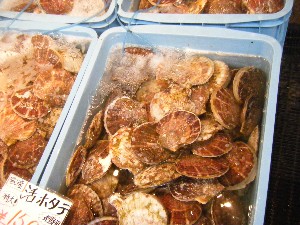 20100101 -�V���؂蔲��-_48