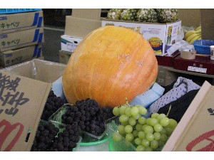20091017-18 -�J�{�`���R���e�X�g�o�i-_4