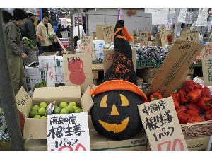 20091017-18 -�J�{�`���R���e�X�g�o�i-_7