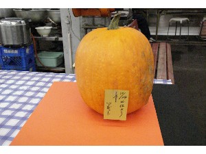 20091017-18 -�J�{�`���R���e�X�g�o�i-_8