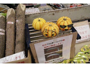 20091017-18 -�J�{�`���R���e�X�g�o�i-_9