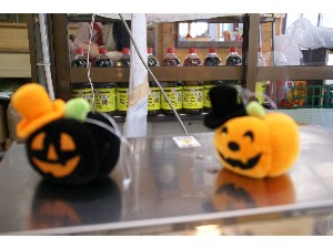 20091017-18 -�J�{�`���R���e�X�g�o�i-_11