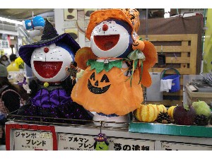 20091017-18 -�J�{�`���R���e�X�g�o�i-_17