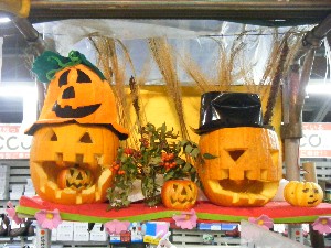 20091017-18 -�J�{�`���R���e�X�g�o�i-_44