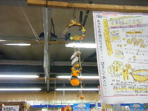 20091017-18 -�J�{�`���R���e�X�g�o�i-_47
