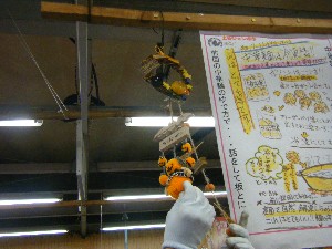 20091017-18 -�J�{�`���R���e�X�g�o�i-_48