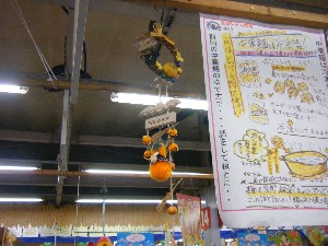 20091017-18 -�J�{�`���R���e�X�g�o�i-_45