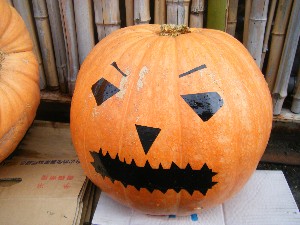 20091024 -�{���̏o�i��i�ł�-_7