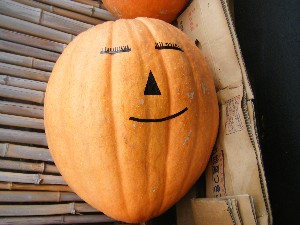 20091024 -�{���̏o�i��i�ł�-_8