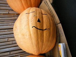 20091024 -�{���̏o�i��i�ł�-_9