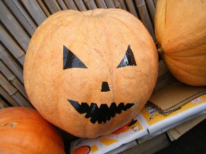 20091024 -�{���̏o�i��i�ł�-_10