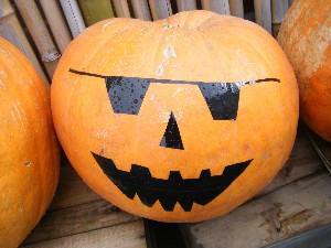 20091024 -�{���̏o�i��i�ł�-_12