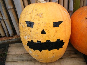 20091024 -�{���̏o�i��i�ł�-_13