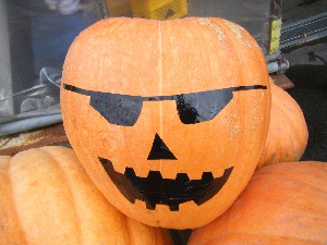 20091024 -�{���̏o�i��i�ł�-_14