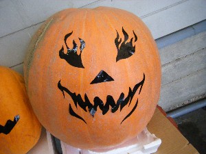 20091024 -�{���̏o�i��i�ł�-_16