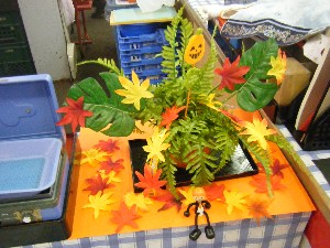 20091024 -�{���̏o�i��i�ł�-_40