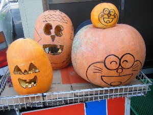 20091024 -�{���̏o�i��i�ł�-_53