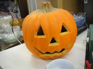 20091024 -�{���̏o�i��i�ł�-_55