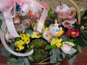 2009�ЂȃR�� �C�g�[�i�[�Z���[����_2