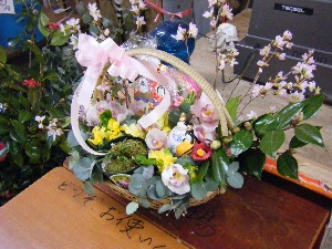2009�ЂȃR�� �C�g�[�i�[�Z���[����_3