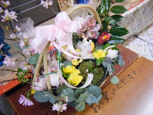 2009�ЂȃR�� �C�g�[�i�[�Z���[����_4