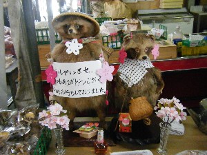 2009/01/31 �L���`�������2_2