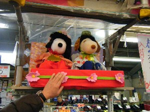 2009/02/13 �����̌C�X�@�ЂȃR��_3