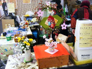 2009 �ЂȃR�� �V���C�V�p��_1