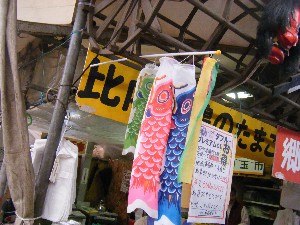 2009/05/02�@�����R���ڋʎs_6
