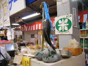 2009/05/02 �e�L�T�X�ꖱ_5