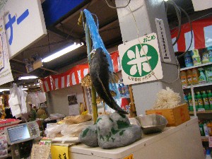 2009/05/02 �e�L�T�X�ꖱ_6