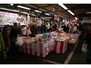 - 20100123 ����ׂ��`������ -���̊ې�_8
