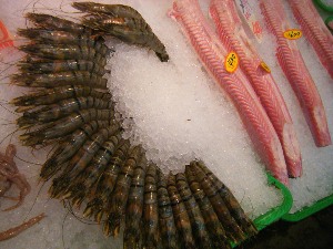 2010/01/23 -���T�̔����ł�-_12
