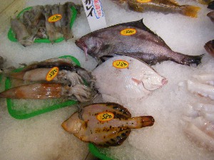 2010/01/23 -���T�̔����ł�-_13