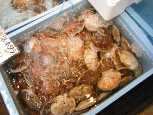 2010/01/23 -���T�̔����ł�-_14