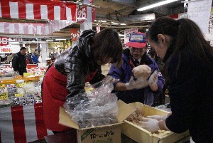 201002013 -���薡�X�̌���@3�@-_20