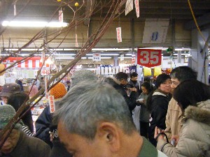 201002014 -�V���؂蔲��-_22