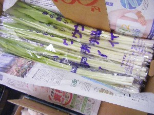 20100220 -���T�̔����ł�-_17