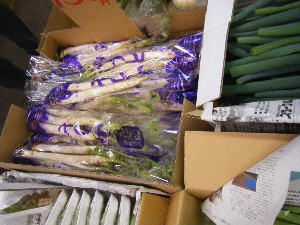 20100220 -���T�̔����ł�-_18