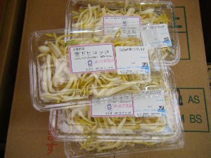 20100220 -���T�̔����ł�-_19