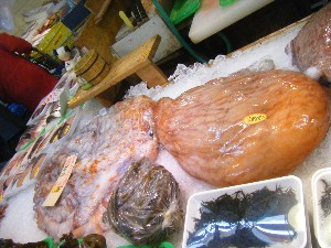 20100220 -���T�̔����ł�-_26