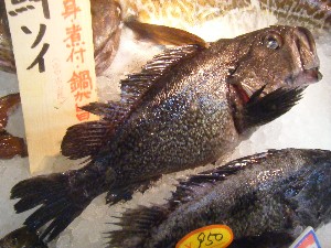 20100220 -���T�̔����ł�-_30
