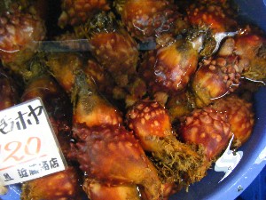 20100220 -���T�̔����ł�-_35