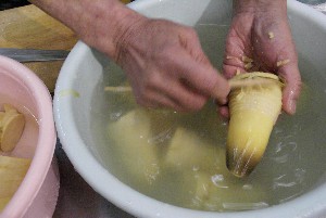 20100306 -⡂̎ϕ�������-_2