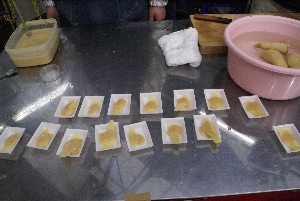 20100306 -⡂̎ϕ�������-_4