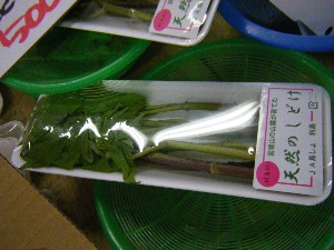 20100319 -�ފ݂��� �f��-_1